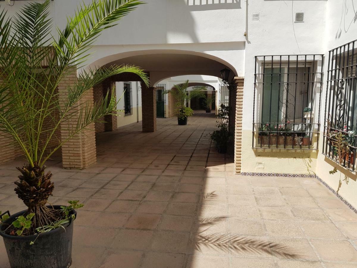 Apartamento En Los Patios De San Basilio 科爾多瓦 外观 照片